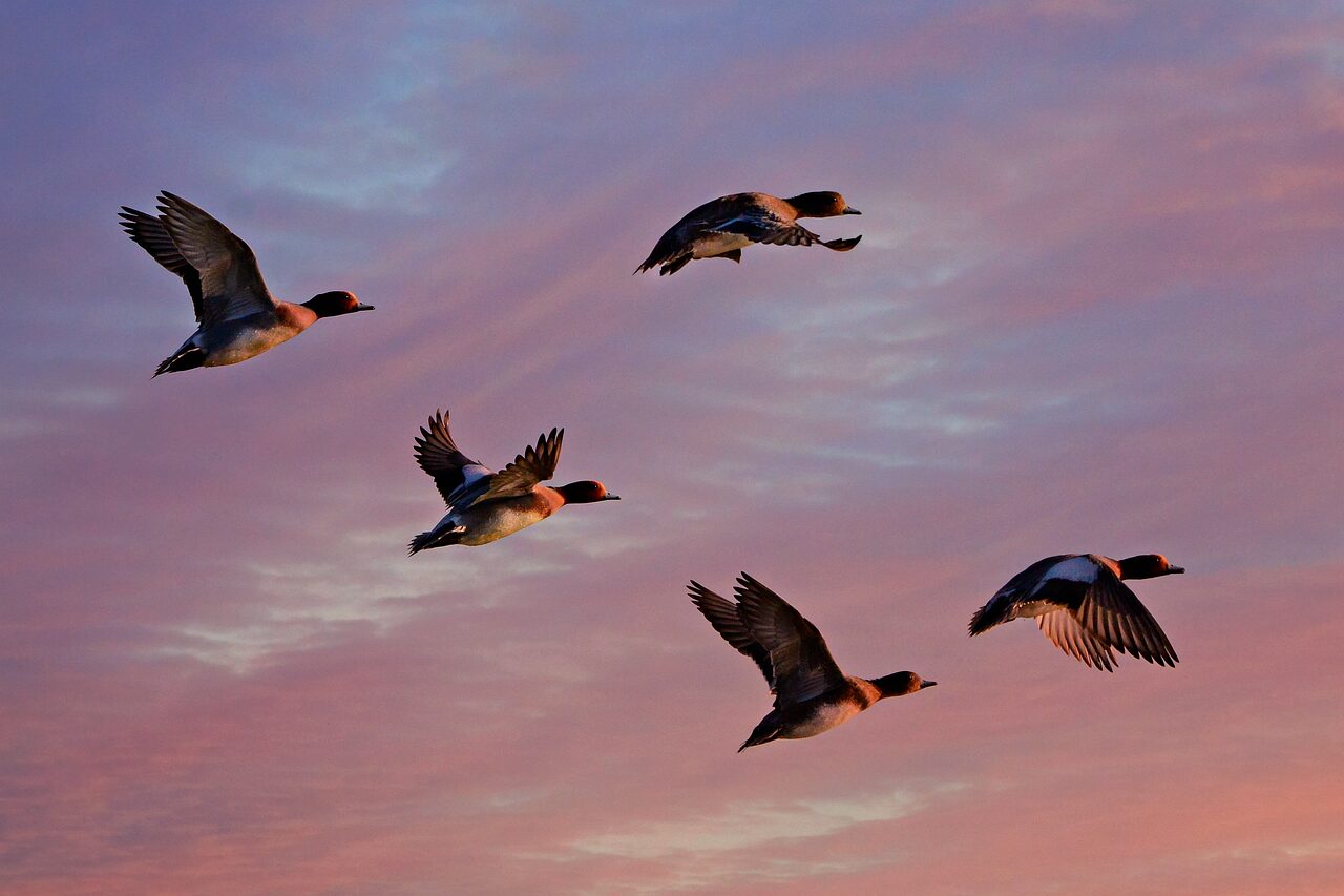 DSGVO Cloud-Migration